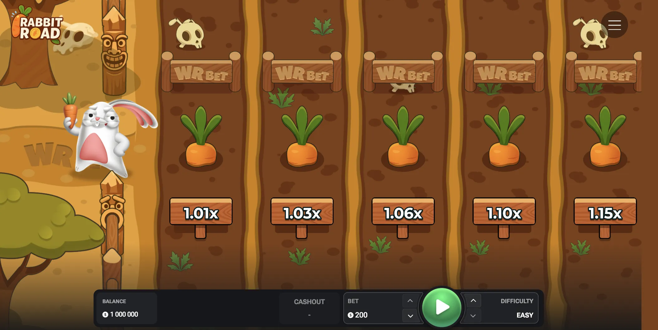 Bonus Features and Game Functions